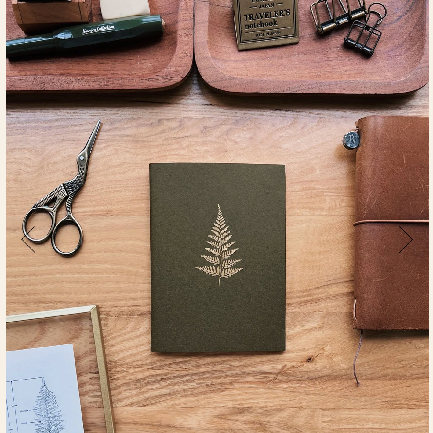 Sarica Studio Fern Notebook (Passport TN Size)