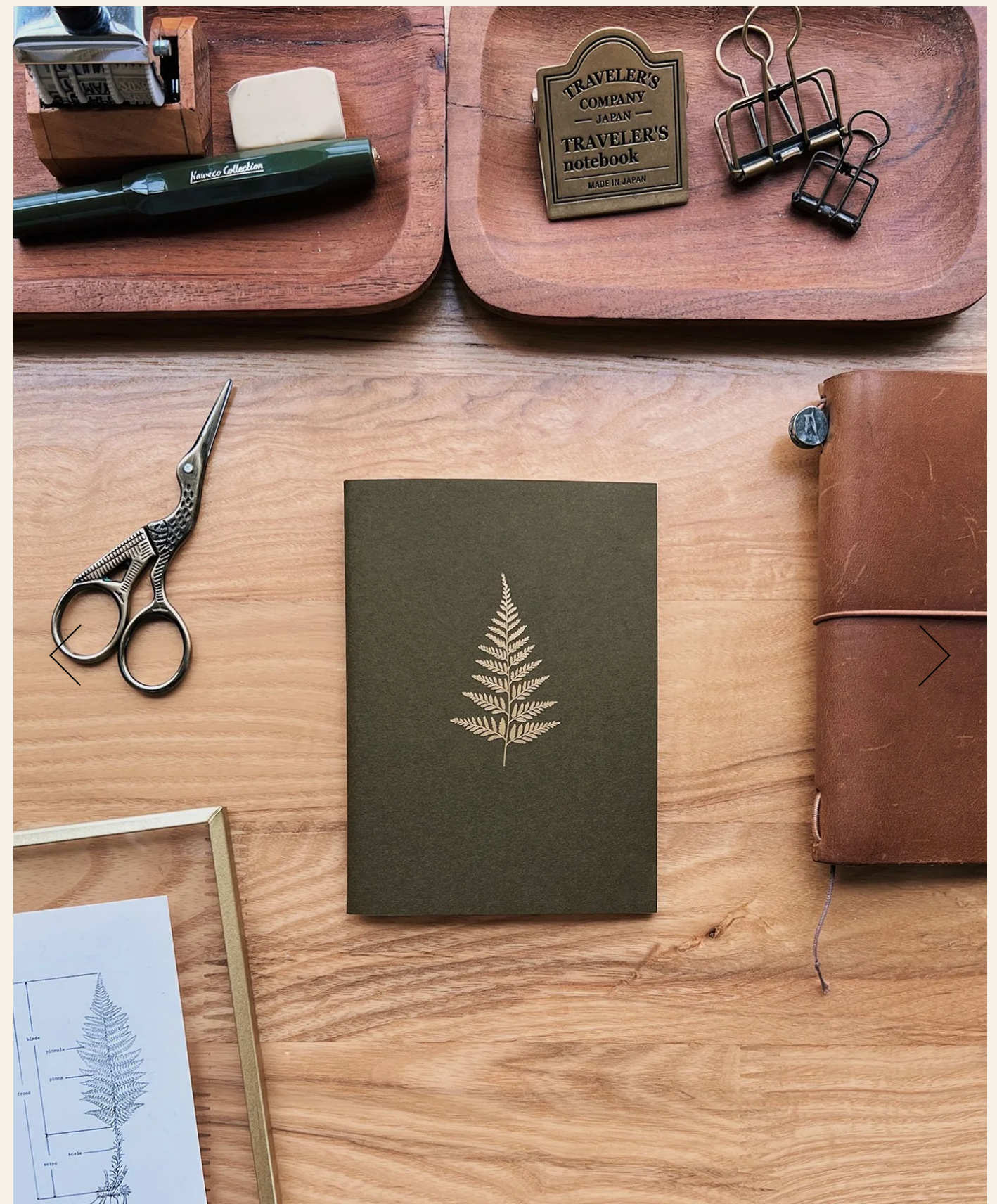 Sarica Studio Fern Notebook (Passport TN Size)