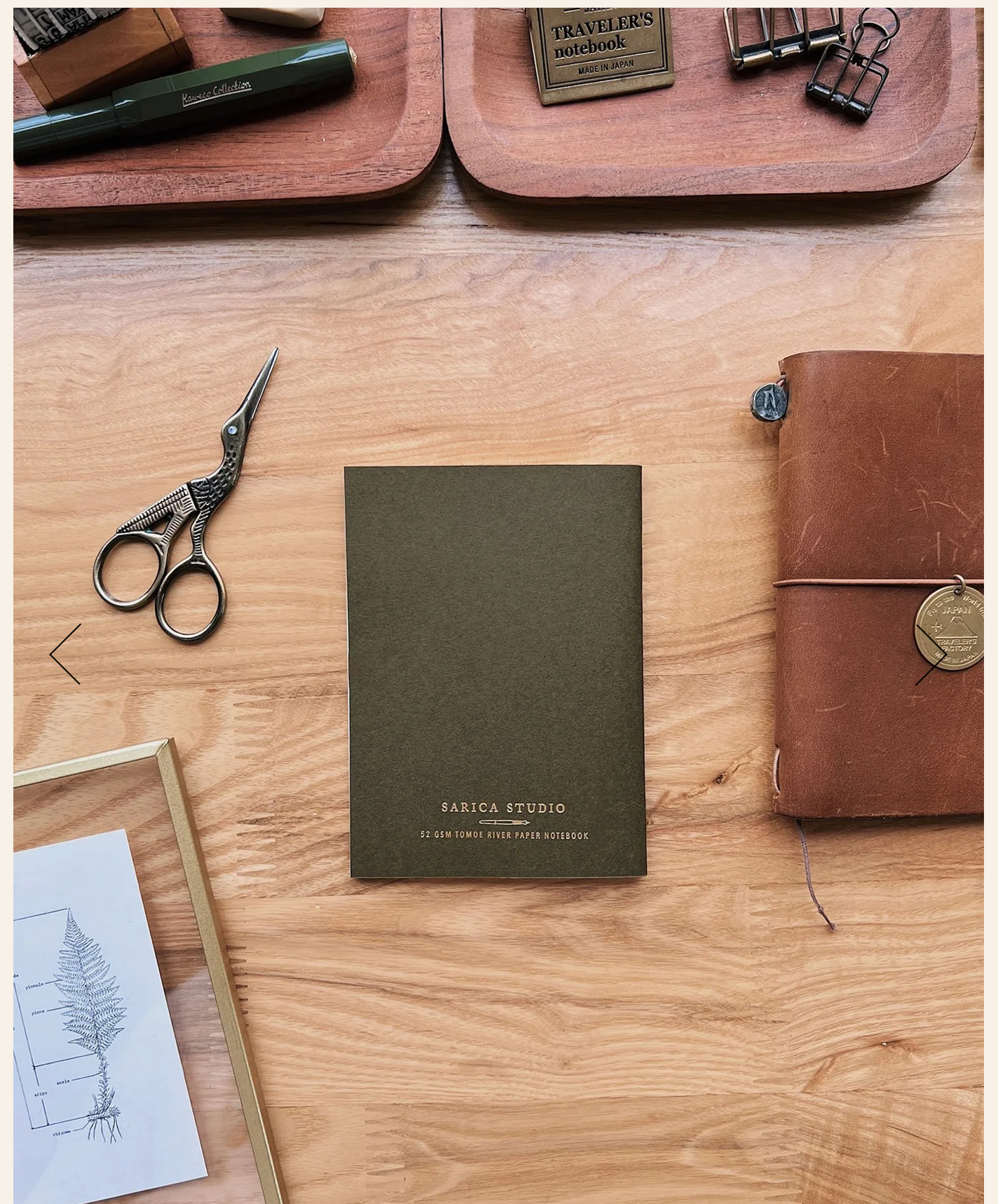 Sarica Studio Fern Notebook (Passport TN Size)