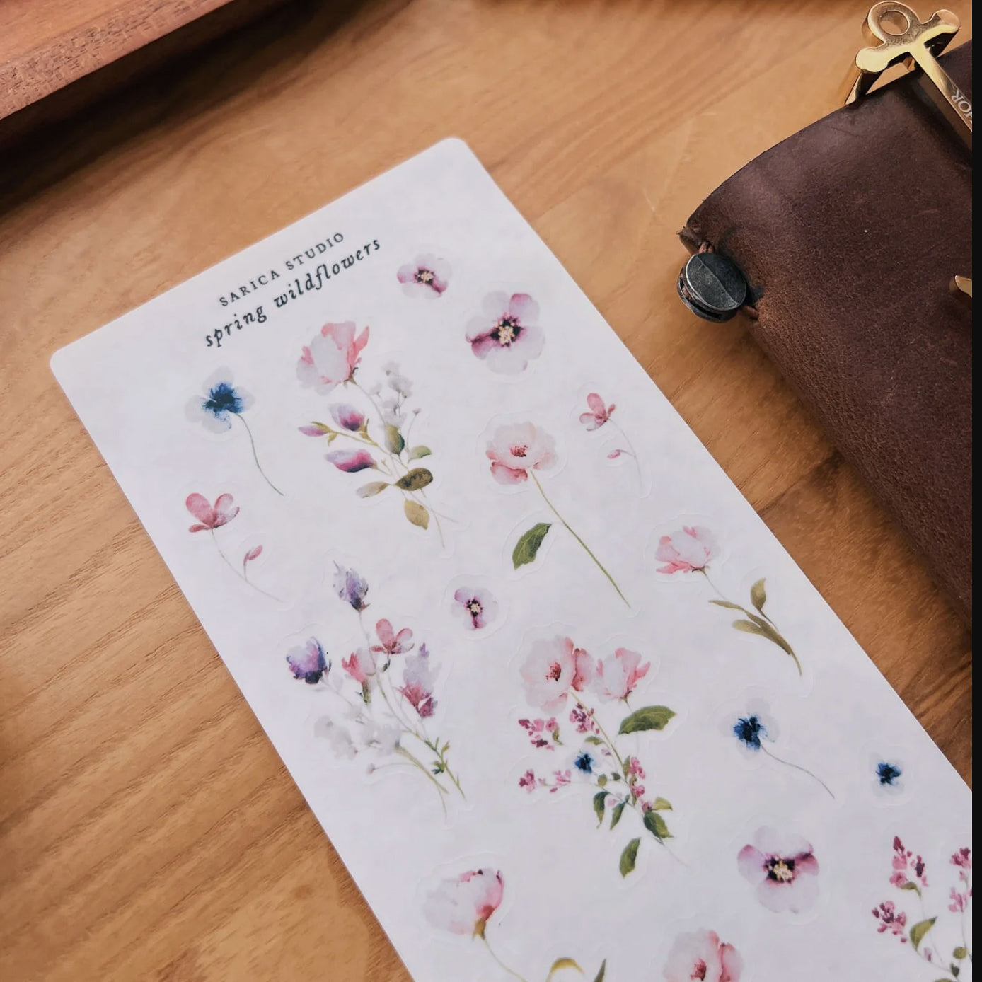 Sarica Studio spring wildflowers