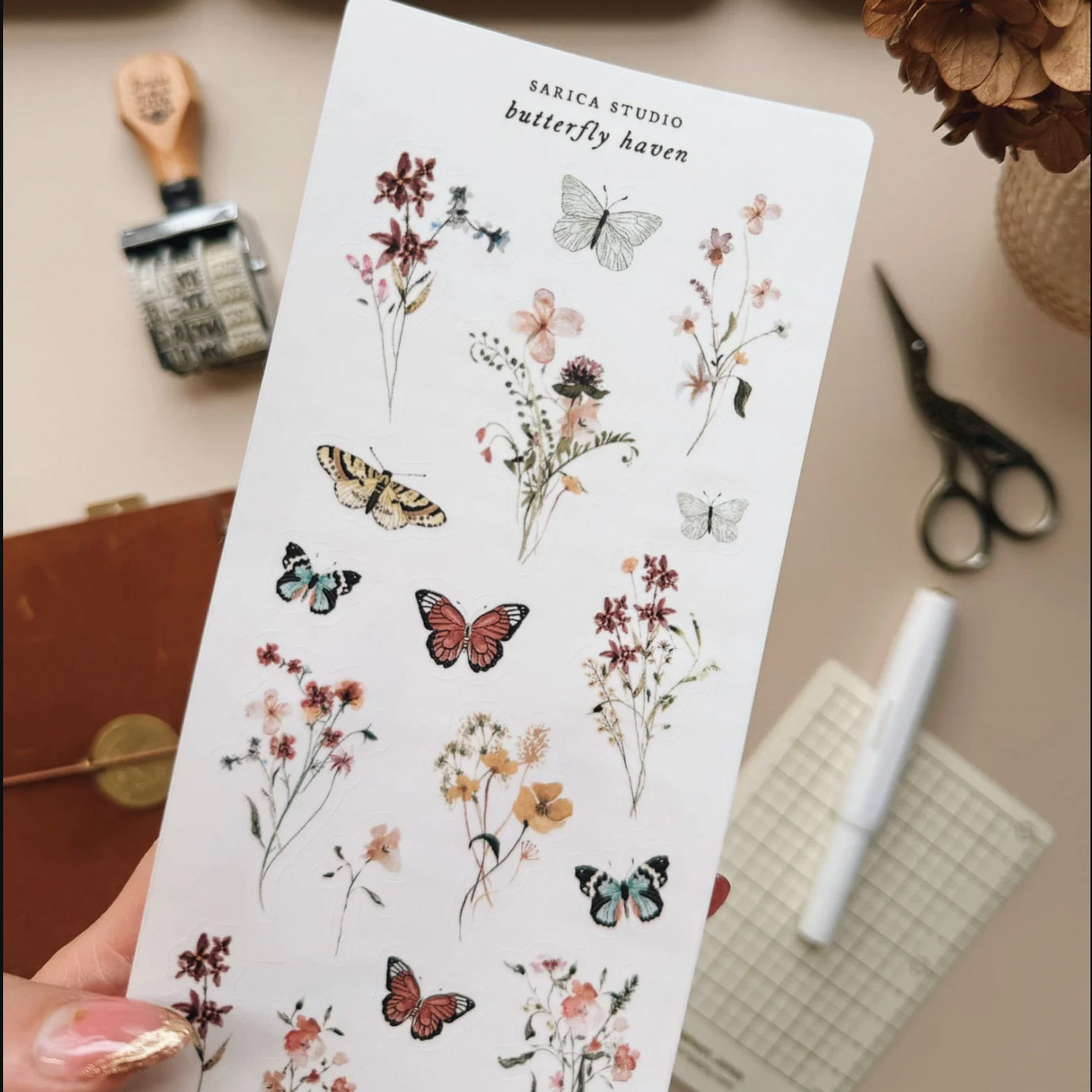 Sarica Studio butterfly haven