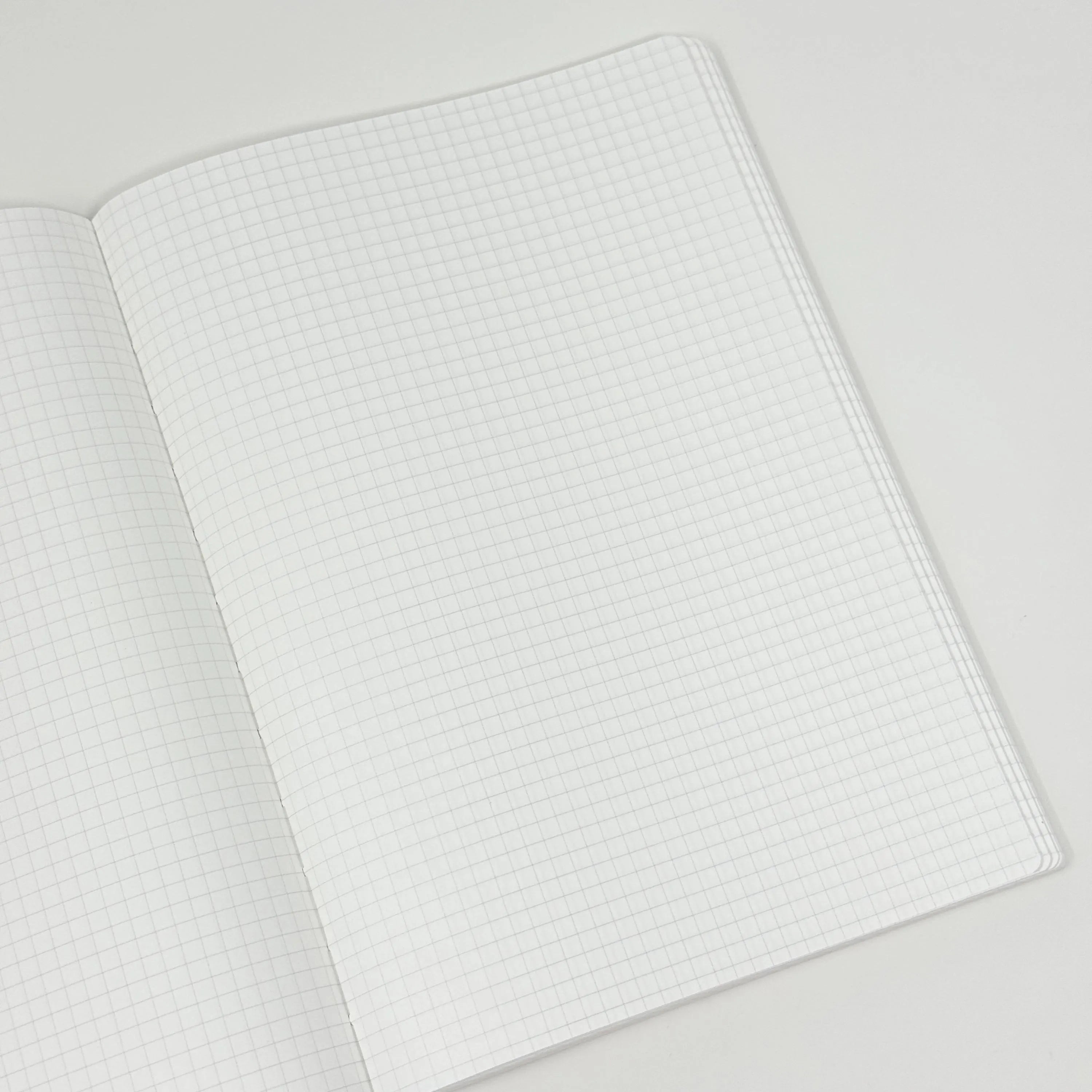 Open Freely Noted A5 notebook showing the pale grey grid ruling printed on 52gsm Tomoe River paper