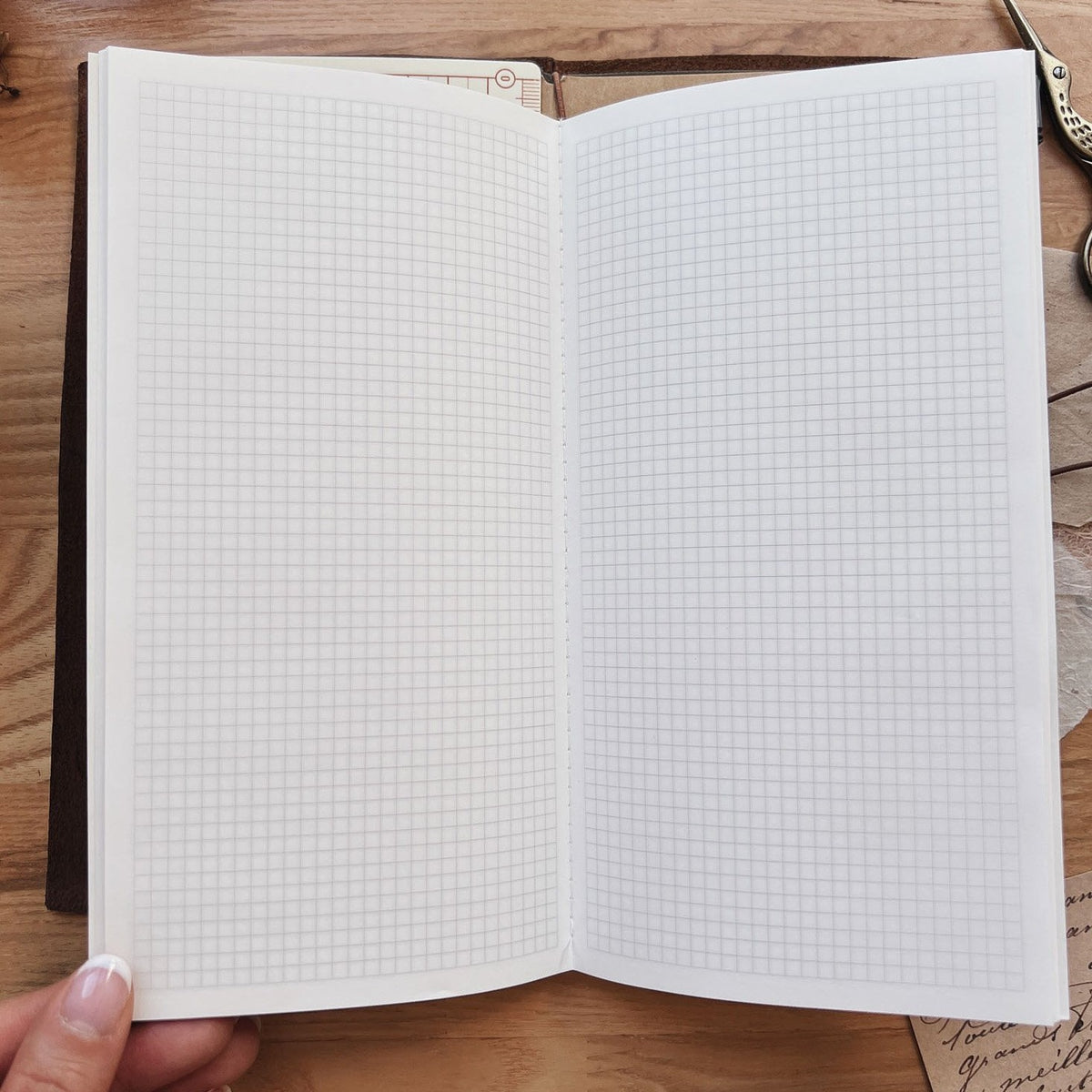 Sarica Studio Ginkgo Notebook, standard TN size, open to show the 3.5mm light gray grid on Tomoe River paper