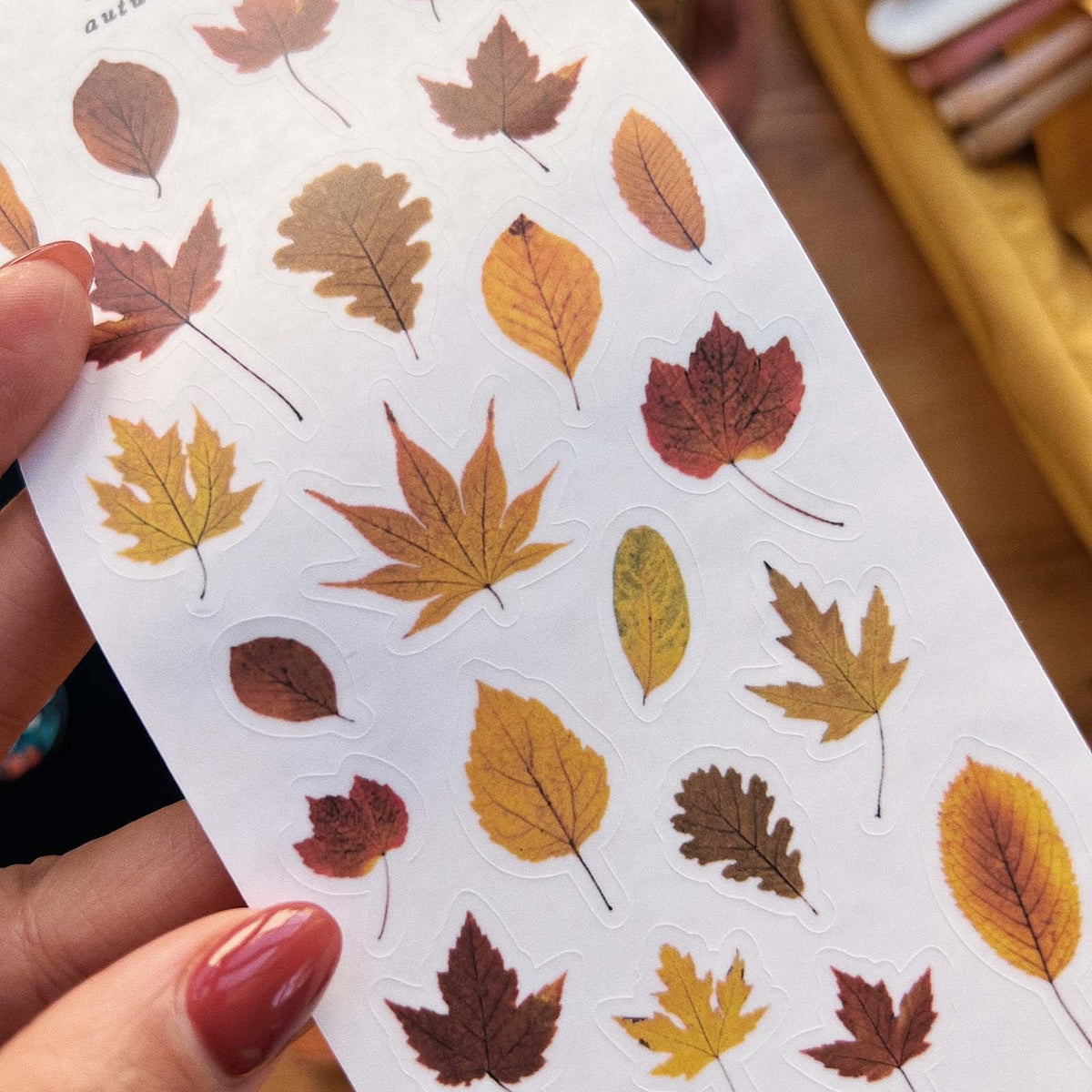 Close-up of Sarica Studio Autumn Leaves stickers showing red, orange and gold dried leaves
