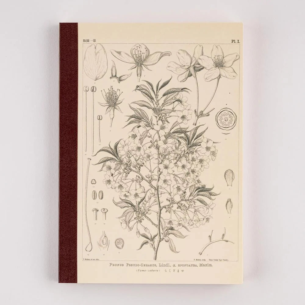 Hobonichi Graph Notebook A5, Tomitaro Makino Yamazakura — cream front cover with a black and grey botanical plate of the mountain cherry and a deep burgundy cloth spine