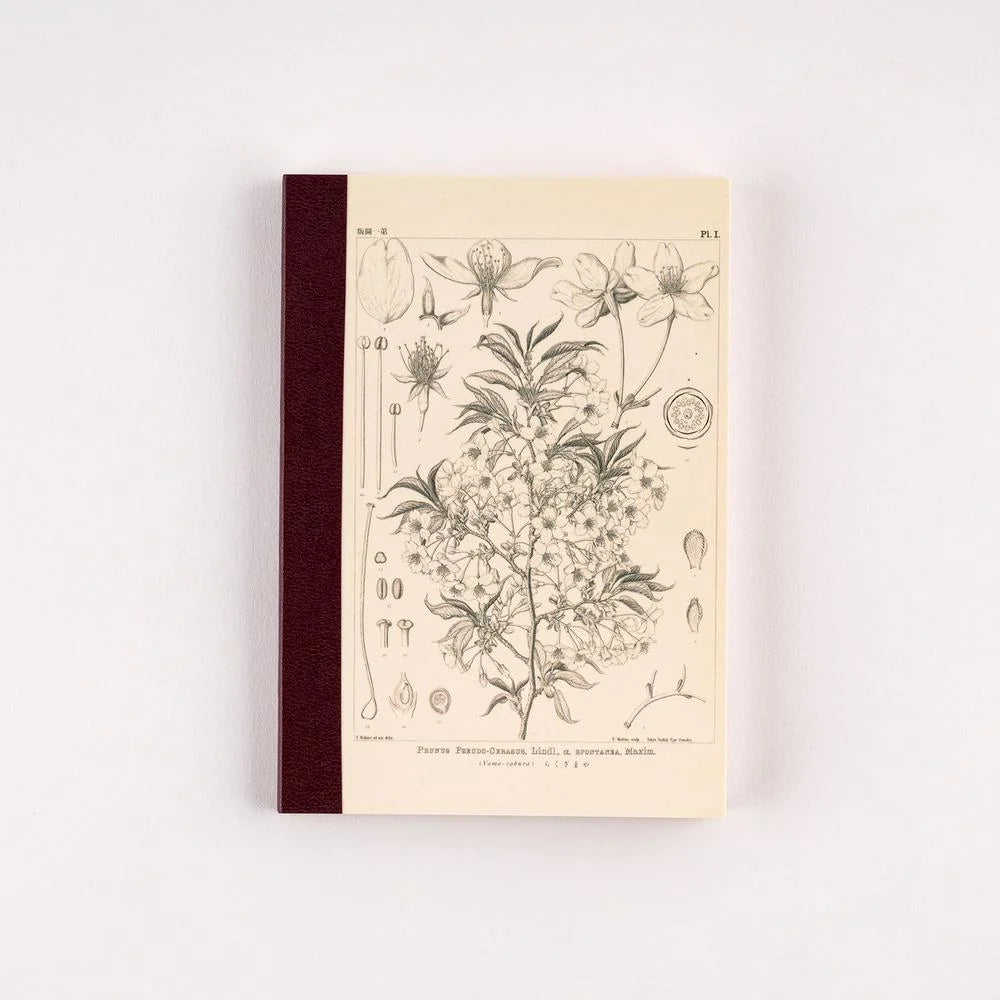 Hobonichi Graph Notebook A6, Tomitaro Makino Yamazakura — cream front cover with a black and grey botanical plate of the mountain cherry and a deep burgundy cloth spine